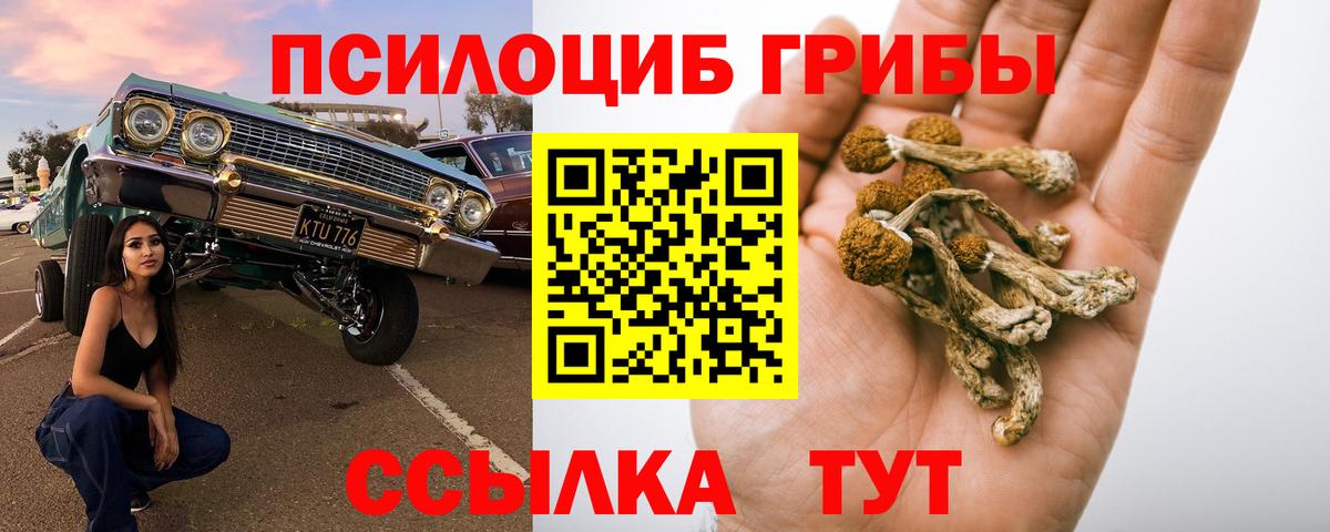 Ханты-Мансийск  продажа наркотиков  Вход с VPN  Псилоцибиновые грибы прущие грибы 