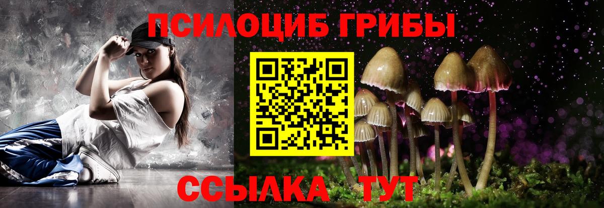 Псилоцибиновые грибы Psilocybine cubensis Ханты-Мансийск